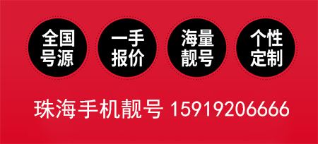 广东珠海手机靓号15919206666 尾号四连号