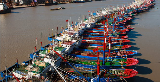 宁波联通数字支撑渔业管理 保护渔业资源