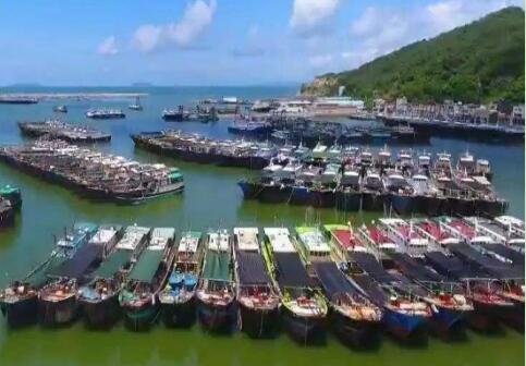 阳江联通打造数字渔船系统 渔船安全监管不再是难题