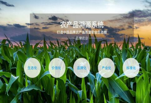 潮州移动打造5G+农产品溯源系统 实现农产品信息全程追溯
