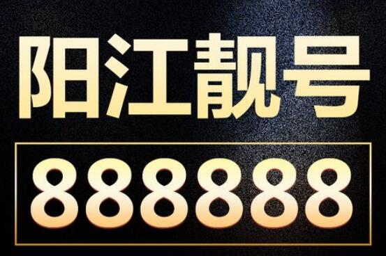 阳江联通手机号码13005658401 吉祥号码大展宏图之数