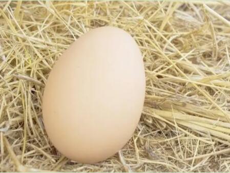 梦到捡鸡蛋是什么意思？ 不同的人梦见自己捡鸡蛋梦境解析