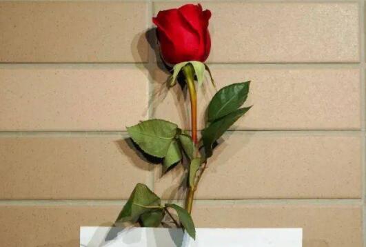 送玫瑰花卡片祝福语写什么？ 写在玫瑰花卡片上的情话有哪些？