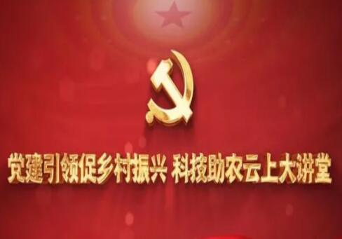 中国电信坚持党建引领 结合村情民意助力推进科技惠农