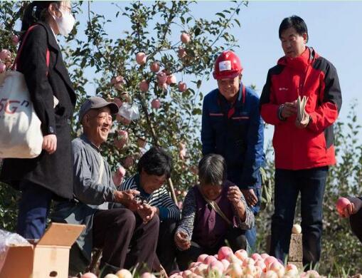 中国联通落实数字乡村建设 推动农业农村数字化转型