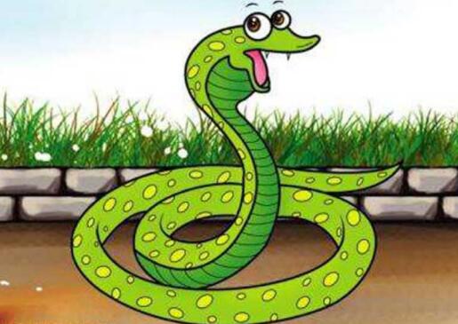 属蛇人的手机尾号吉祥号是多少？ 属蛇人如何选择旺运号码？