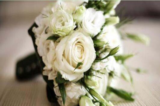 白玫瑰有什么样的花语存在呢？白玫瑰所代表的隐含意义是什么呢？