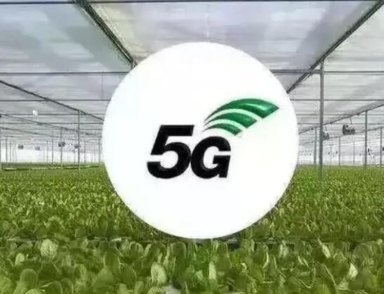 中国电信与农业生产合作 共同打造5G智慧农业基地