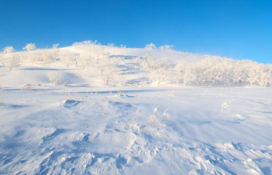 做梦梦到雪是什么意思？为什么梦里会梦到雪呢？