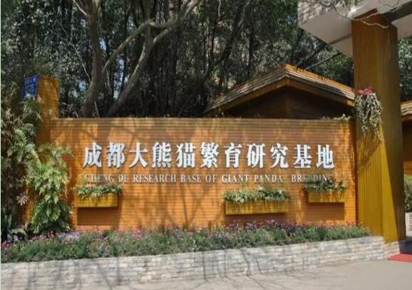 成都旅游必去五大景点推荐：世界最大的熊猫基地不容错过！